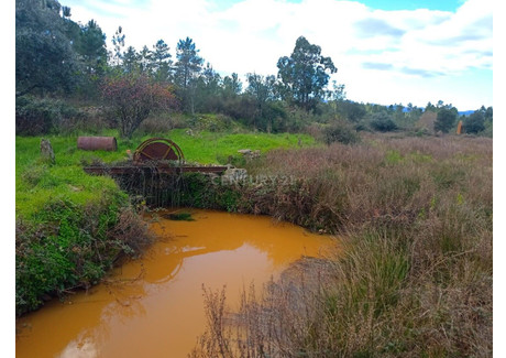 Działka na sprzedaż - Salgueiro Do Campo, Portugalia, 38 680 m², 44 278 USD (181 096 PLN), NET-96122764