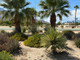 Mieszkanie na sprzedaż - 3079 Sunflower Circle E Palm Springs, Usa, 77,76 m², 319 900 USD (1 311 590 PLN), NET-100984112