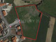 Komercyjne na sprzedaż - Encarnação, Portugalia, 10 001 m², 1 250 160 USD (5 125 657 PLN), NET-100014525