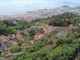 Dom na sprzedaż - Funchal, Portugalia, 345 m², 1 503 163 USD (6 042 714 PLN), NET-95178314