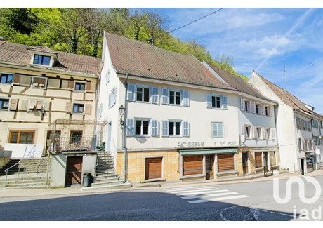 Dom na sprzedaż - Ferrette, Francja, 230 m², 233 702 USD (937 146 PLN), NET-101777297