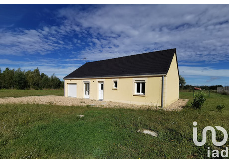 Dom na sprzedaż - Lorris, Francja, 88 m², 179 375 USD (733 644 PLN), NET-100527550