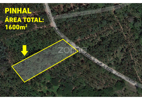 Działka na sprzedaż - Oliveira Do Bairro, Portugalia, 1600 m², 10 418 USD (42 611 PLN), NET-76645912