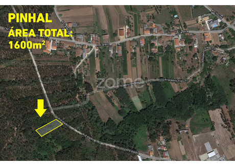 Działka na sprzedaż - Oliveira Do Bairro, Portugalia, 1600 m², 10 887 USD (43 764 PLN), NET-76645912