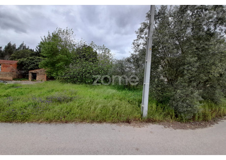 Działka na sprzedaż - Anadia, Portugalia, 1200 m², 27 908 USD (106 889 PLN), NET-91819540