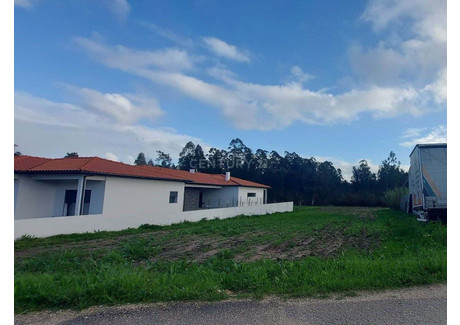 Działka na sprzedaż - Pelariga, Portugalia, 10 910 m², 63 271 USD (258 780 PLN), NET-100847487