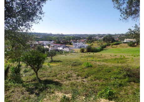 Mieszkanie na sprzedaż - Colmeias E Memória, Portugalia, 420 m², 88 311 USD (362 075 PLN), NET-100847986