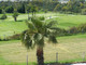 Mieszkanie na sprzedaż - Casa Club Urbanización Baviera Golf, 29751 Caleta de Vélez, Málaga, Sp Baviera Golf, Hiszpania, 90 m², 236 886 USD (933 332 PLN), NET-93611565