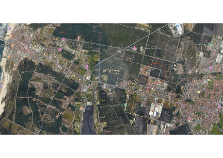 Działka na sprzedaż - Aveiro, Ovar, Portugalia, 400 000 m², 937 290 USD (3 599 193 PLN), NET-101088338