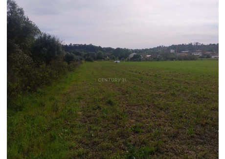 Działka na sprzedaż - Madalena E Beselga, Portugalia, 3720 m², 41 192 USD (168 889 PLN), NET-96128967