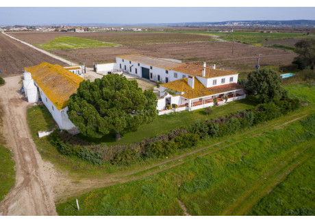 Dom na sprzedaż - Golega, Portugalia, 386,6 m², 5 976 760 USD (23 548 435 PLN), NET-96130805