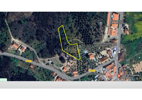 Działka na sprzedaż - Tomar, Portugalia, 2520 m², 13 974 USD (53 801 PLN), NET-97795052