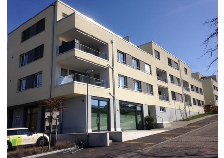 Mieszkanie do wynajęcia - Schulweg Port, Szwajcaria, 85 m², 1978 USD (8111 PLN), NET-102249641