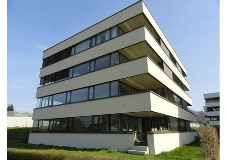 Mieszkanie do wynajęcia - Strandweg Burgdorf, Szwajcaria, 122 m², 2429 USD (9328 PLN), NET-99622670