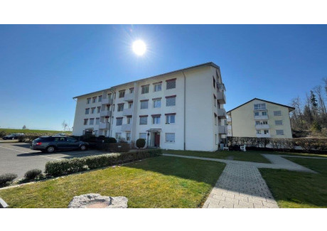 Mieszkanie do wynajęcia - Schützenhausstrasse Oetwil Am See, Szwajcaria, 55 m², 1752 USD (7269 PLN), NET-101377582