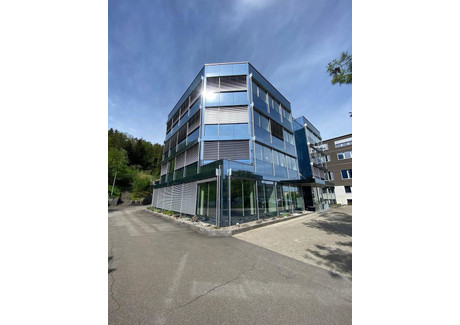 Magazyn do wynajęcia - Schützenstrasse Thalwil, Szwajcaria, 50 m², 482 USD (1963 PLN), NET-102194551