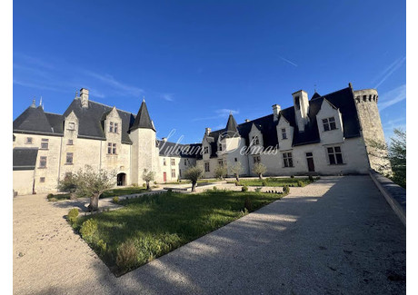 Dom na sprzedaż - Châtillon-Sur-Indre, Francja, 5000 m², 5 325 057 USD (21 779 482 PLN), NET-101513174