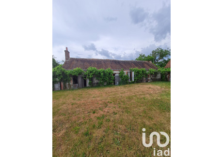 Dom na sprzedaż - Sully Sur Loire, Francja, 100 m², 72 928 USD (298 276 PLN), NET-102369796