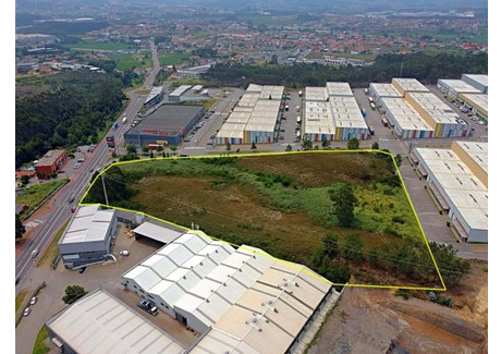 Działka na sprzedaż - Ribeirão, Portugalia, 25 000 m², 1 473 942 USD (5 998 943 PLN), NET-98464402