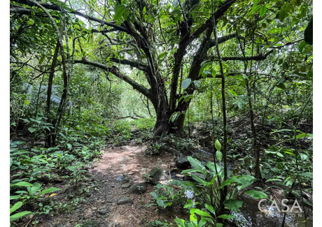 Działka na sprzedaż - Lajas de Tolé Lajas De Tolé, Panama, 40 031 m², 318 000 USD (1 303 800 PLN), NET-101516413