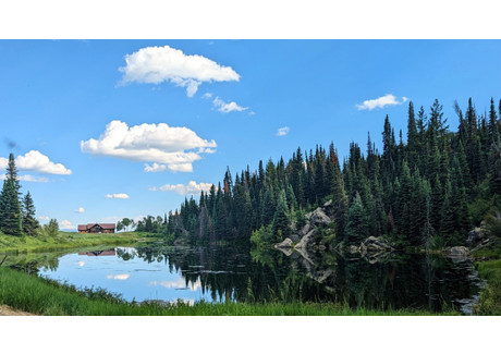 Działka na sprzedaż - TBD Tow Creek Road Steamboat Springs, Usa, 5 402 553,5 m², 12 487 000 USD (47 950 080 PLN), NET-98464207