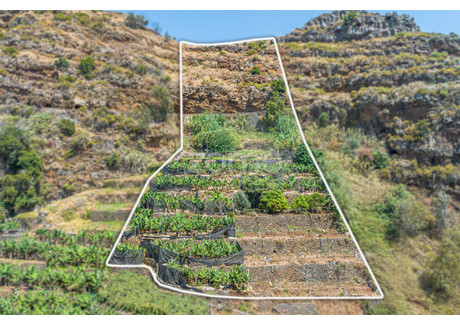 Działka na sprzedaż - Funchal, Portugalia, 3230 m², 77 336 USD (320 945 PLN), NET-100161347