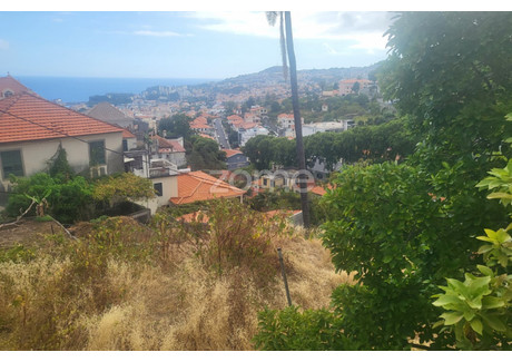 Działka na sprzedaż - Funchal, Portugalia, 430 m², 126 623 USD (517 887 PLN), NET-82978879