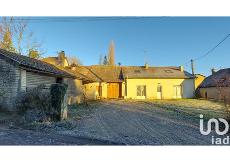 Dom na sprzedaż - Saint-Usage, Francja, 128 m², 87 751 USD (353 636 PLN), NET-96375902