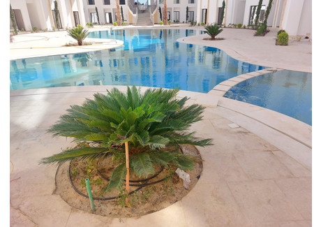 Mieszkanie na sprzedaż - 8PF2+968, Hurghada 2, Red Sea Governorate 1982302, Egypt Hurghada, Egipt, 65 m², 30 800 USD (125 972 PLN), NET-101307250