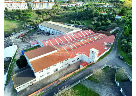 Magazyn na sprzedaż - Alcanena e Vila Moreira Alcanena, Portugalia, 6472,4 m², 952 069 USD (3 874 919 PLN), NET-102773550