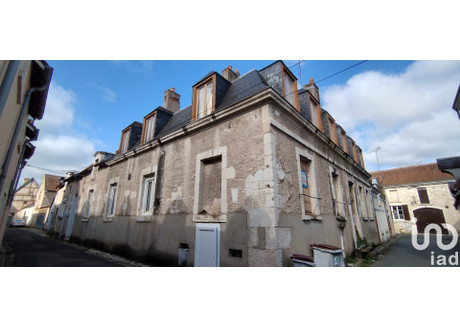 Dom na sprzedaż - Selles-Sur-Cher, Francja, 300 m², 106 181 USD (432 156 PLN), NET-100665484