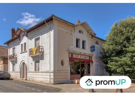 Dom na sprzedaż - Labrit, Francja, 195 m², 166 197 USD (666 448 PLN), NET-84770580