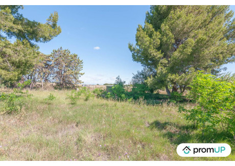 Komercyjne na sprzedaż - Marseillan, Francja, 569 m², 53 226 USD (208 647 PLN), NET-98488402