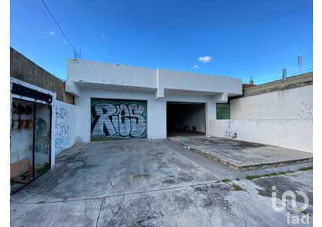 Komercyjne na sprzedaż - Revolucion, Sin numero Quintana Roo, Meksyk, 150 m², 93 675 USD (384 069 PLN), NET-88473191