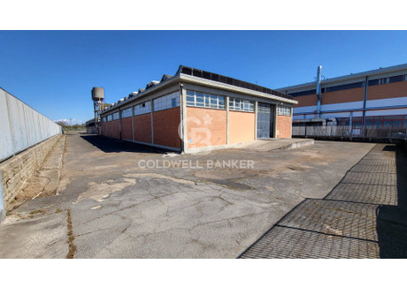 Komercyjne na sprzedaż - VIA DEL MARE Pomezia, Włochy, 750 m², 536 212 USD (2 193 109 PLN), NET-98417611