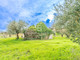 Dom na sprzedaż - Contrada Santoro,sn Ostuni, Włochy, 35 m², 78 609 USD (309 718 PLN), NET-97227524