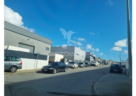 Magazyn na sprzedaż - Estômbar e Parchal Lagoa (algarve), Portugalia, 2350 m², 1 584 913 USD (6 070 217 PLN), NET-95189008