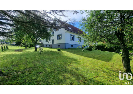 Dom na sprzedaż - Entre-Deux-Eaux, Francja, 167 m², 290 969 USD (1 117 320 PLN), NET-99645808