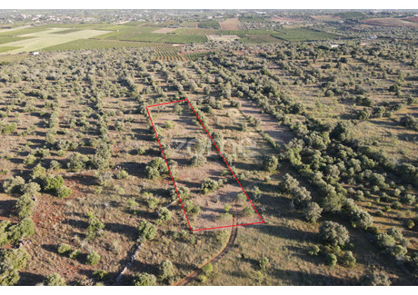 Działka na sprzedaż - Silves, Portugalia, 5620 m², 16 120 USD (64 641 PLN), NET-94342687