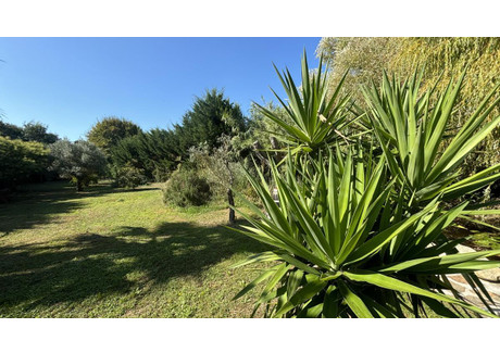 Dom na sprzedaż - La Couarde-Sur-Mer, Francja, 144 m², 1 087 295 USD (4 544 892 PLN), NET-100815815