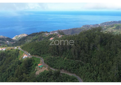 Działka na sprzedaż - Ribeira Brava, Portugalia, 5000 m², 35 984 USD (147 534 PLN), NET-98086164