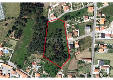 Działka na sprzedaż - Viana Do Castelo, Portugalia, 9201 m², 198 829 USD (813 211 PLN), NET-101046491