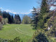 Dom na sprzedaż - 3963 Crans-Montana, Switzerland Crans-Montana, Szwajcaria, 200 m², 2 335 850 USD (9 576 983 PLN), NET-97069831