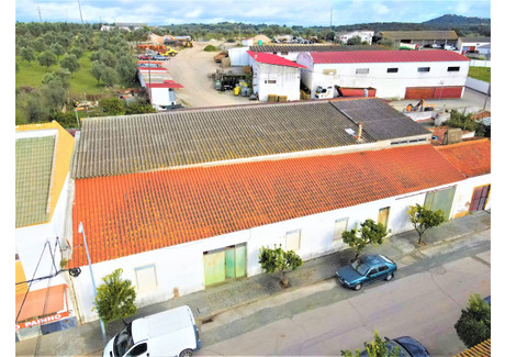 Magazyn na sprzedaż - Portalegre, Alter Do Chão, Portugalia, 609 m², 147 147 USD (601 832 PLN), NET-95171866