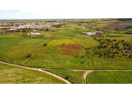 Działka na sprzedaż - Évora, Campo E Campinho, Portugalia, 9750 m², 27 250 USD (111 450 PLN), NET-96040188