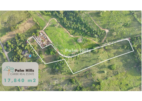 Działka na sprzedaż - Unnamed Road Altamira, Dominikana, 17 840 m², 119 000 USD (487 900 PLN), NET-101167042