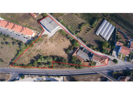 Komercyjne na sprzedaż - Leiria, Alcobaça, Aljubarrota, Portugalia, 5123 m², 1 590 511 USD (6 505 191 PLN), NET-94544296