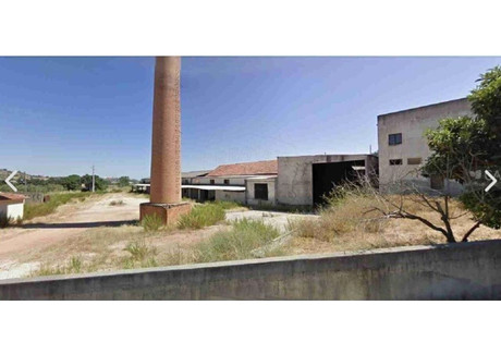 Magazyn na sprzedaż - Santarém, Santarém, Póvoa Da Isenta, Portugalia, 5032 m², 270 675 USD (1 107 061 PLN), NET-94559891