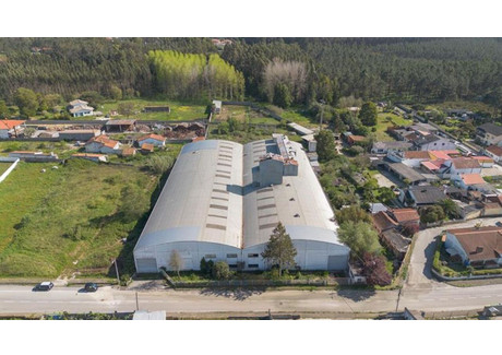 Magazyn na sprzedaż - Leiria, Marinha Grande, Marinha Grande, Portugalia, 4000 m², 693 678 USD (2 823 270 PLN), NET-96808513