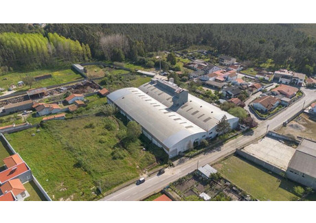 Magazyn na sprzedaż - Leiria, Marinha Grande, Marinha Grande, Portugalia, 4000 m², 696 735 USD (2 849 648 PLN), NET-96808513